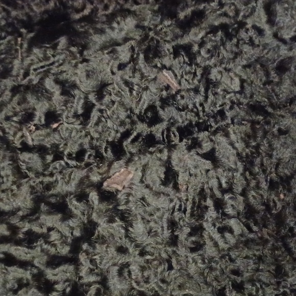 Genuine Persian Lamb Cropped 3/4 Sleeve Jacket- Sz. Med - Picture 11 of 14